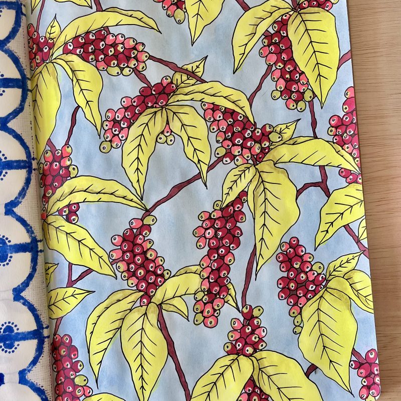 dessin koffie plant
