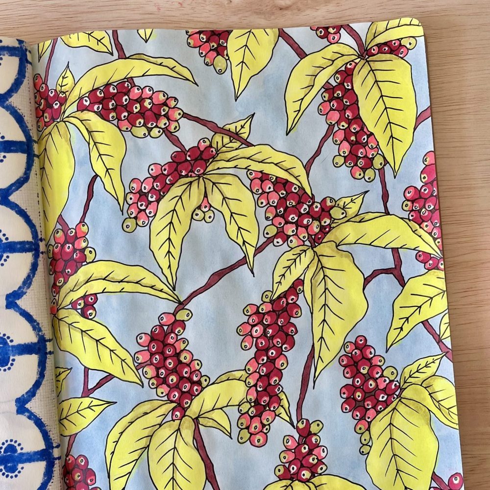 dessin koffie plant